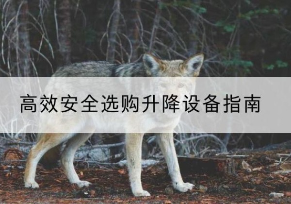 禹王台升降货梯厂家推荐-*安全选购升降设备指南