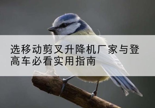 禹王台电动升降机厂家-选移动剪叉升降机厂家与登高车必看实用指南
