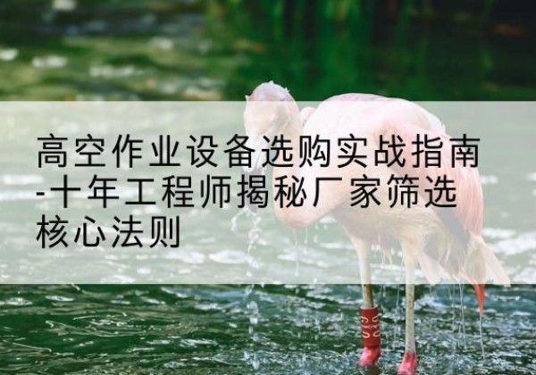 禹王台剪叉式升降机厂家-高空作业设备选购实战指南-十年工程师揭秘厂家筛选核心法则